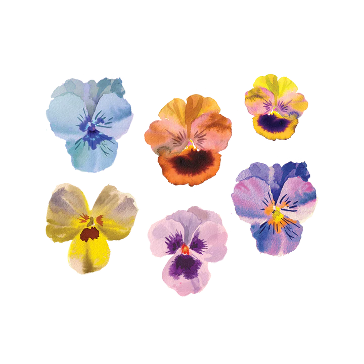 Tattly Temporary Tattoo - Set of 2